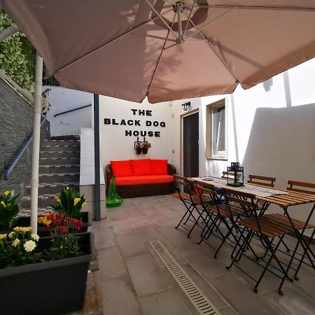 The Black Dog House ヴァレンツァーノ エクステリア 写真